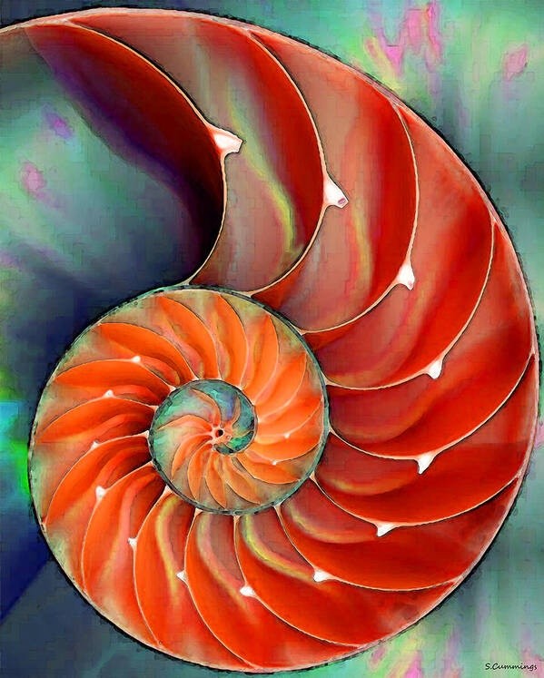 Nature's Perfection Red Nautilus Shell By Sharon Cummings