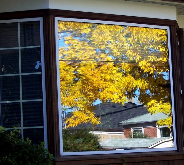 Autumn in the Window