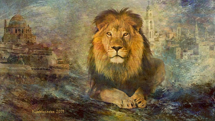 Lion of Persian  * 2019 Kiddolucaslee 