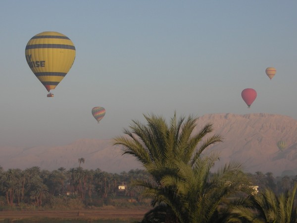 Air Balloons in Luxor