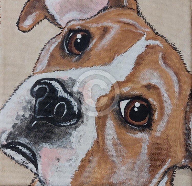 Commissioned Art/Pet Portrait Painting