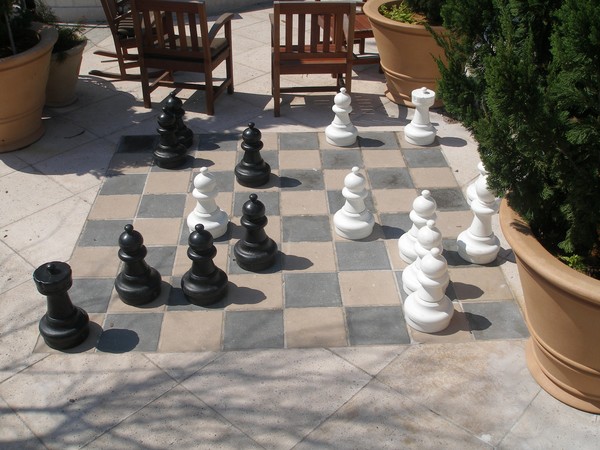 Chess Anyone?