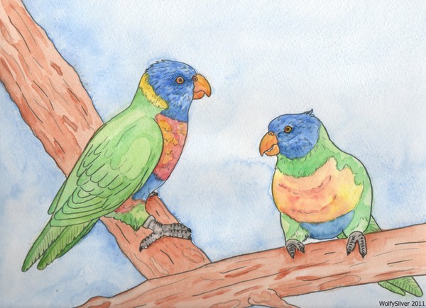 Lorikeets