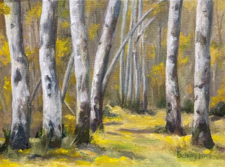 Wyoming Aspens