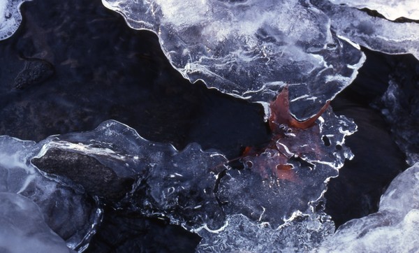 Ice Formation on Country Brook