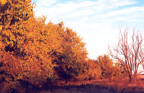Autumn in the Texas Panhandle