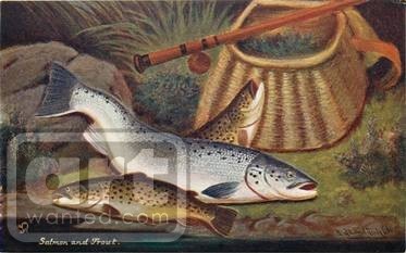 SALMON AND TROUT