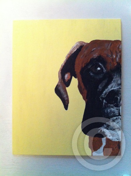 Boxer Face Acrylic Painting
