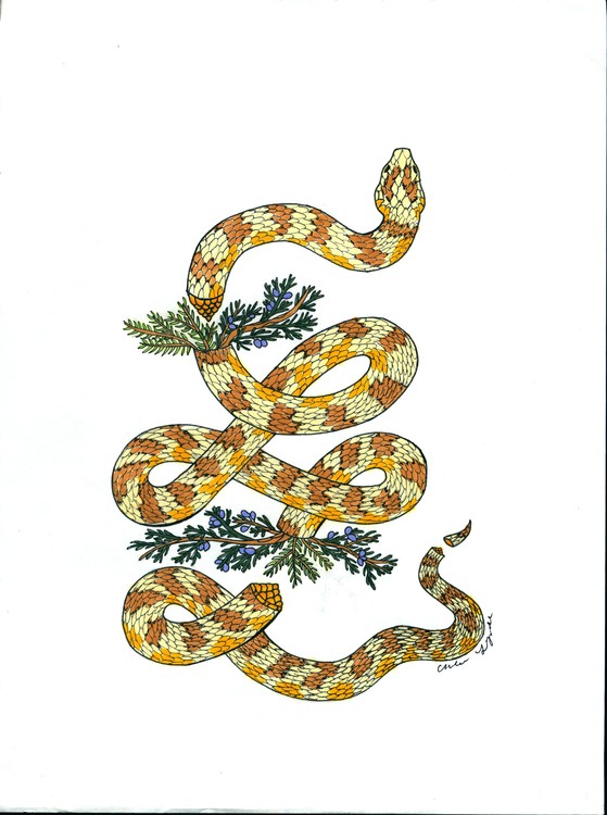 snakeysnake