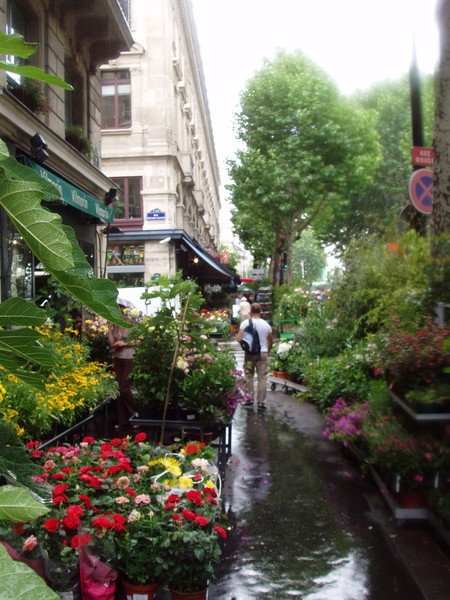rainy Parisian morning