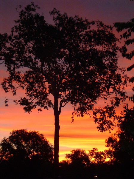 Sunset Silhouette Over the Austrailian Outback