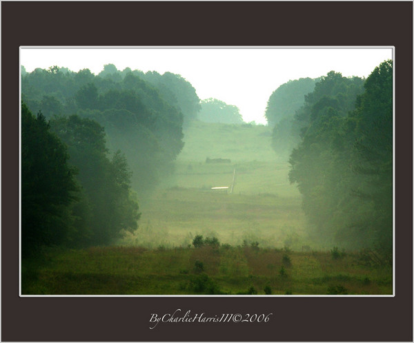 Misty Hill Landscape