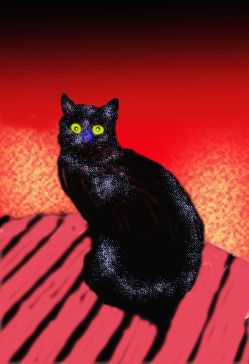 Black Cat at Night  P246a