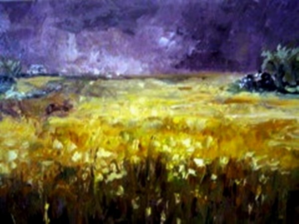 Field Of Gold