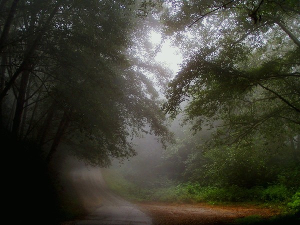 Lonely Gravel Road