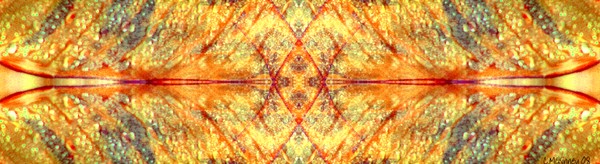 Dew Drop Mandala (horizontal)
