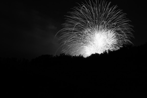 Fireworks over the trees