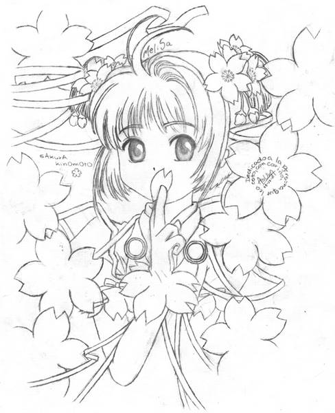 SAKURA FLOWERS