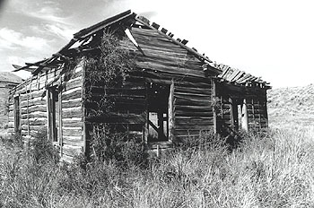 Black & white shack