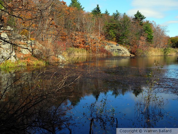 Sylvan Pond