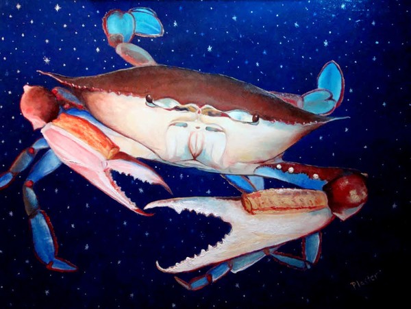 Crab in Space