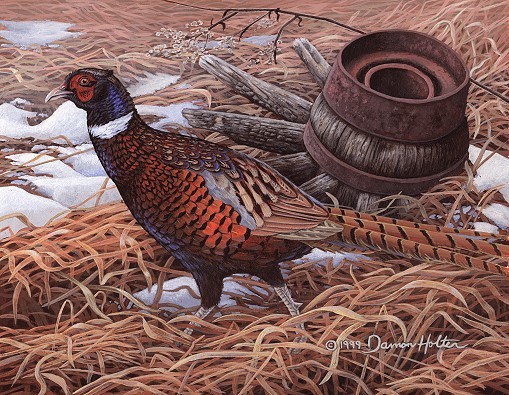 Untitled - Pheasant