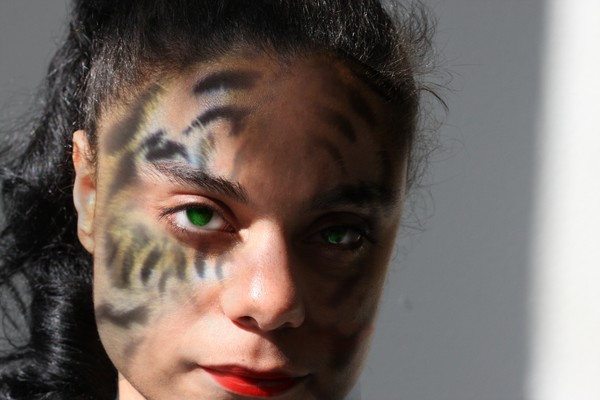 TIGER FACE PAINT