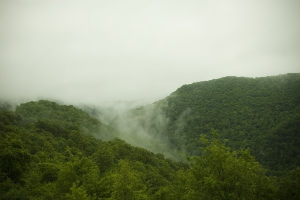 Mountain Top Fog