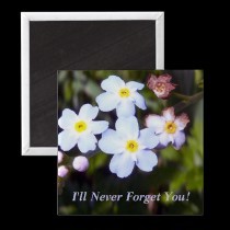 Forget Me Not 1 Magnet