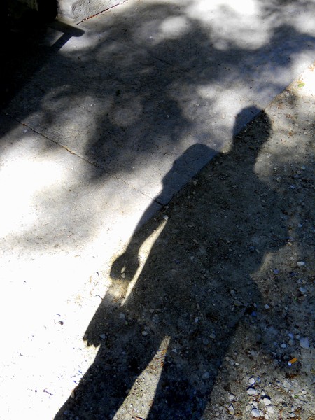 one of my shadows
