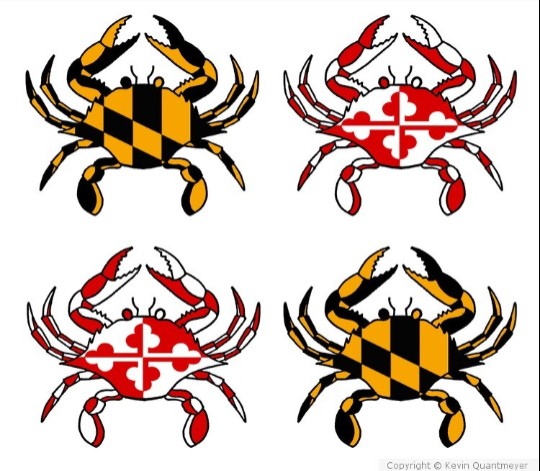 Baltimore Steamers logos