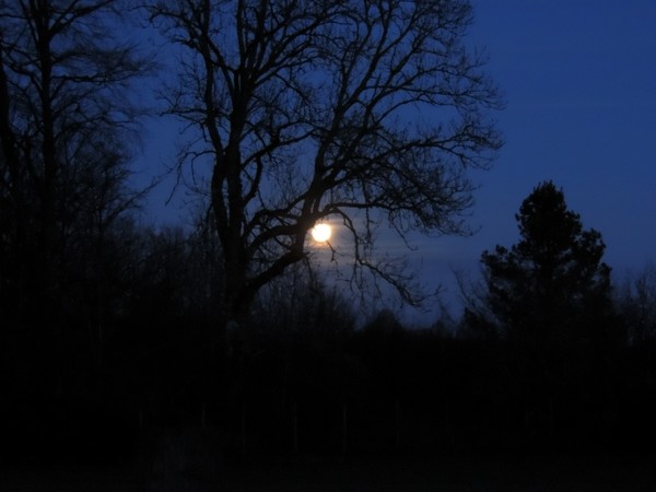 moonlight at new galloway