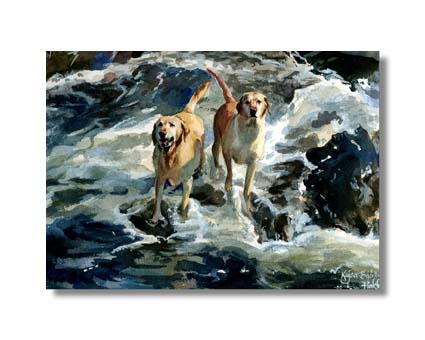 Labradors by water