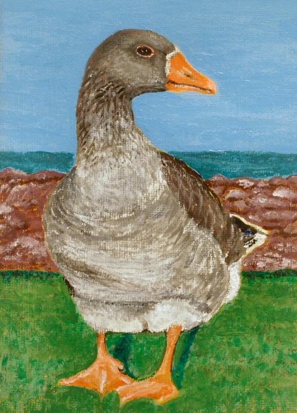 Goose On a 5 x 7