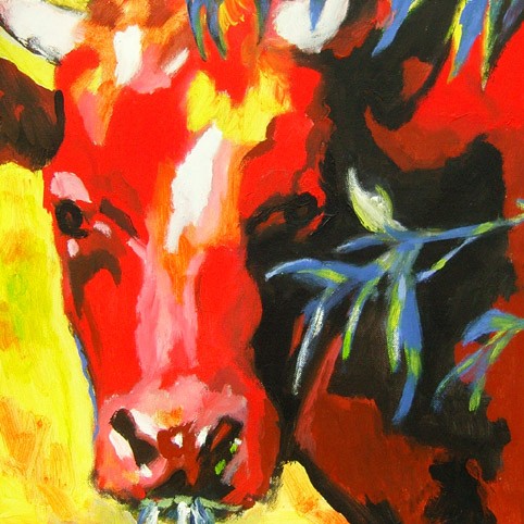 D241 cow 15
