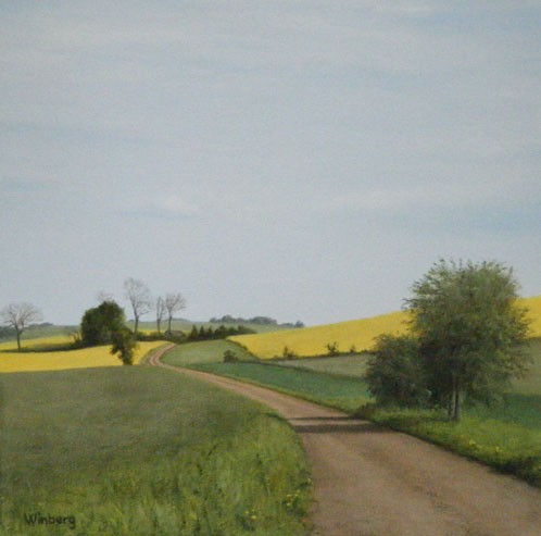 Road over rapeseed field