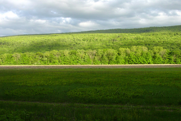 Near the Delaware Water Gap