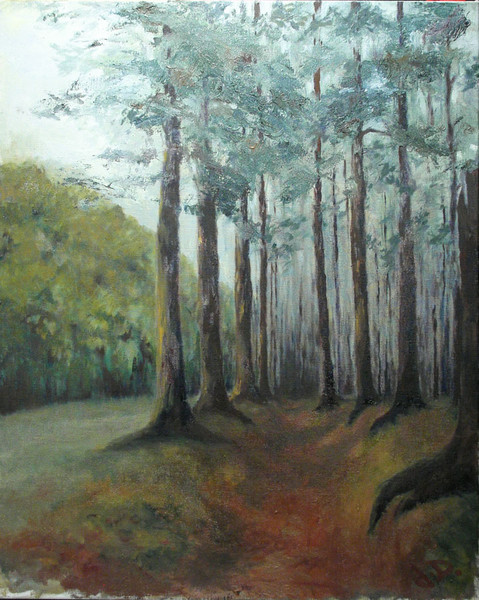 On the forest