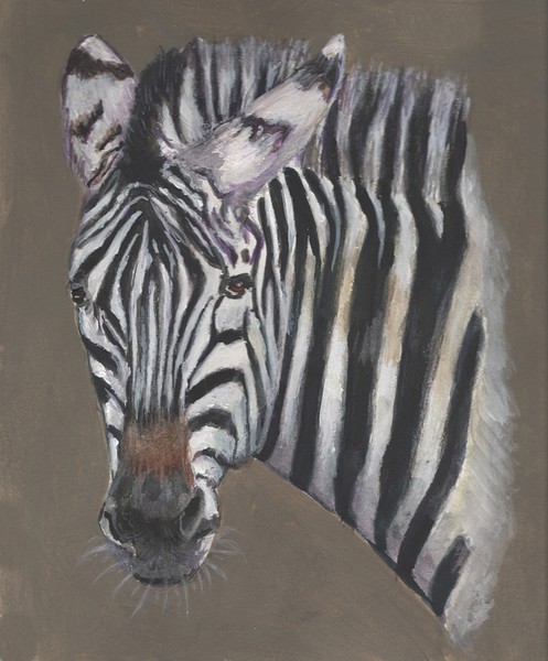 Zebra Challenge