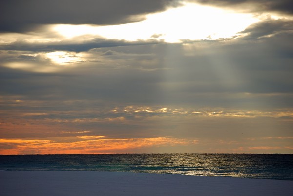 Gulf of Mexico Speaks