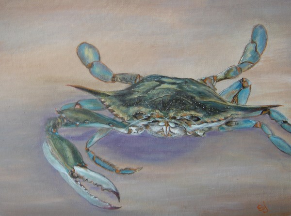 One armed Maryland blue claw crab