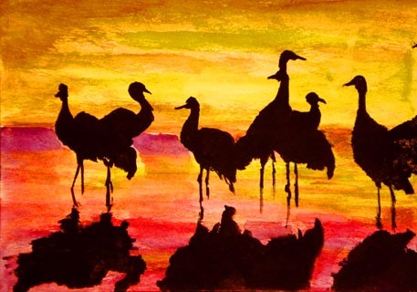 birds in sunset