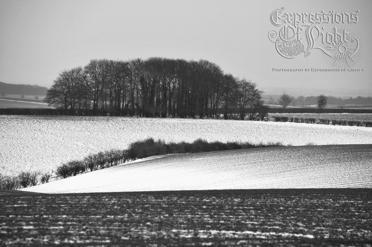 ExpoLight-The-Lincolnshire-Wolds-Winter-18-03-2018-0016 (SP)