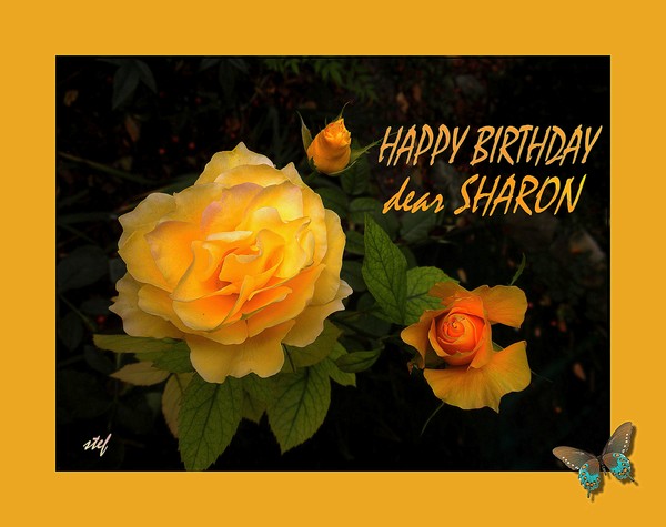 HAPPY BIRTHDAY Sharon