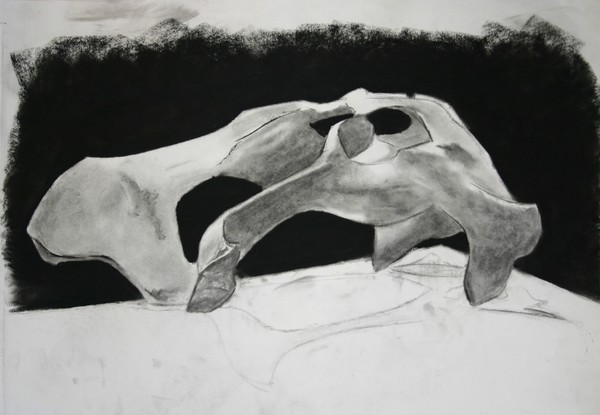 60 Minute Cow Skull Study