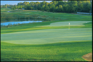 Maple Meadows Golf Course
