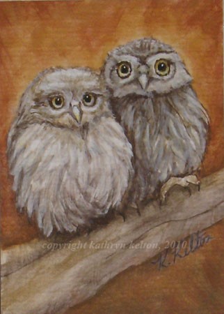 Two Baby Owls ACEO