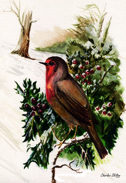 robin painting