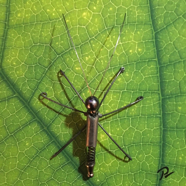Metal Leaf Bug