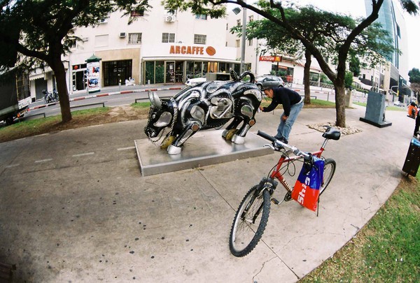 Bull No.1  Of Tel Aviv-2